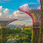 Singapore Landscape Image